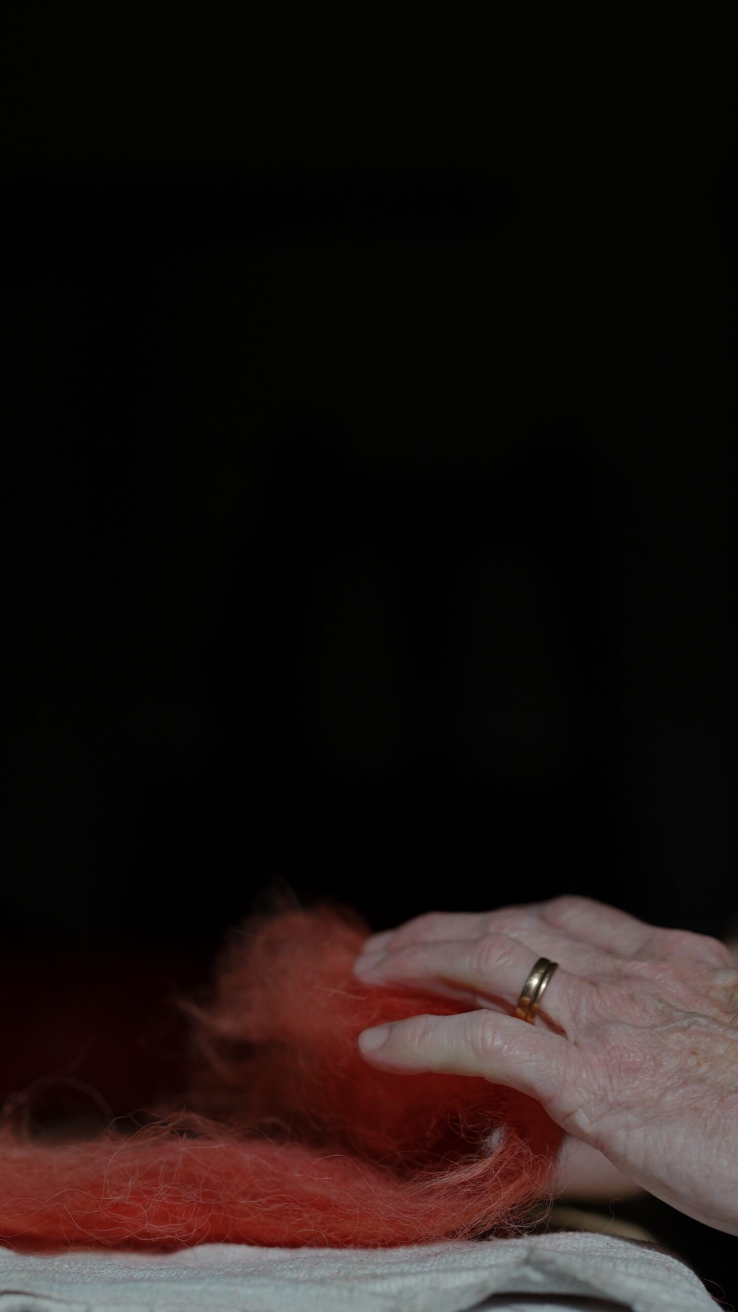 LAINE FEUTRÉE-cours continu-avec Emmanuelle Sage-Lenoir - 6 séances de 2h – Image 4